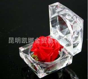 ʻֱ