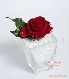 ձڱʻ-S09-026