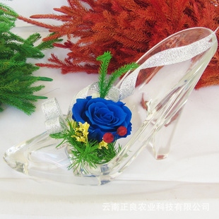 2013бʻ˽ˮЬóһ