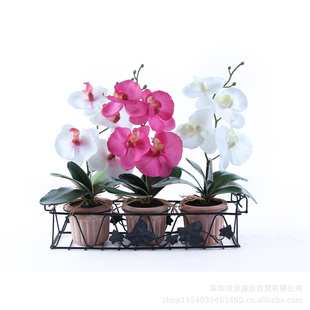 С辰滨Ʒ1