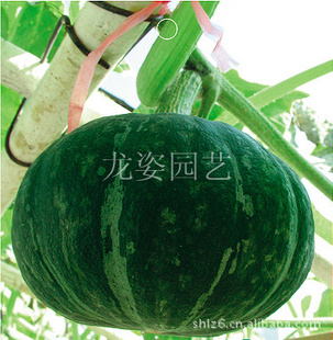 軨ֱ