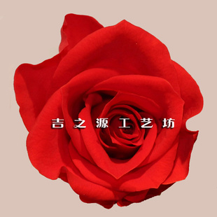 ϱʻõ廨ͷ3-4õ廨õ廨