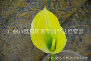 滨ָ֧.PU