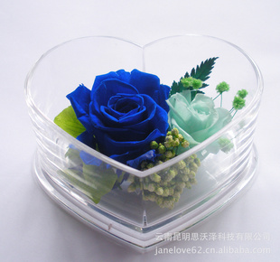 保鲜花批发情人节礼品礼物手工七夕情人节男送女