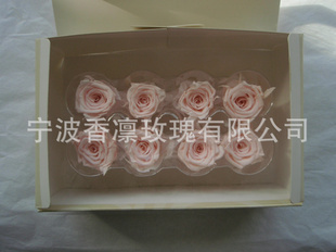 óʻ-ĺSS8װ