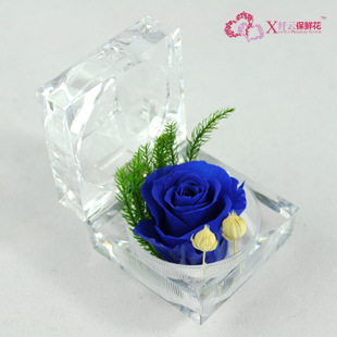 620۸籩ֱָϵбʻ˽