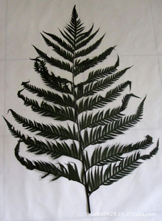 ֱʻлϴ