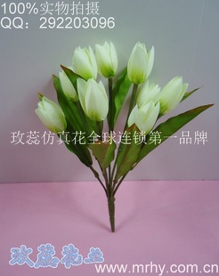 9ͷߵ滨ֱóѩ