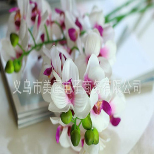 ڷ滨ֻСɻֲﻨ껨