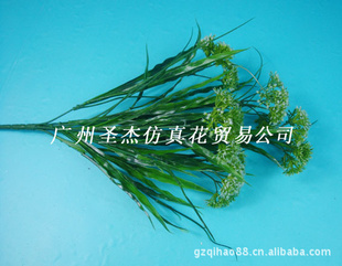 ˮǻ滨ͼ