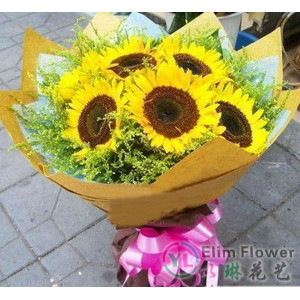 8只向日葵鲜花配送东阳鲜花店送花生日鲜花预定送义乌鲜花店配送