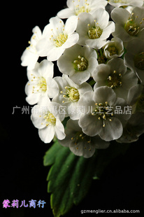 [3]滨