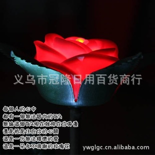 лõ/˽/˽õ廨˽ʻ