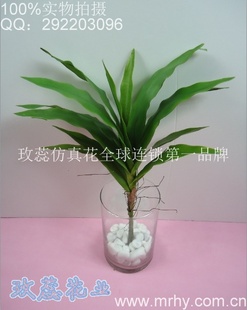 7ƬҶָҶӲ廨Ʒ滨滨