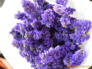 ʻʻƷʻʻ