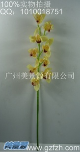 ̼ϸָֻлʵݷ滨