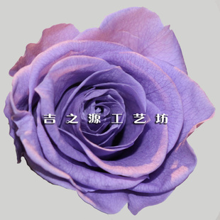 ʻֱ㶫㽭ձʻıõ廨ͷ3-4