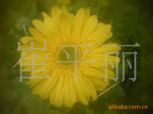 ֱ޾շ޾վջӭǰǢ̸