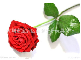 1694AǰϦлĻ֦õ廨õСҹ