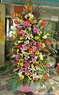 Żʻ俪ʻ