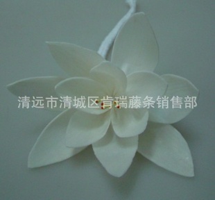 [ڲͨݻ]ֹ޹ӷ