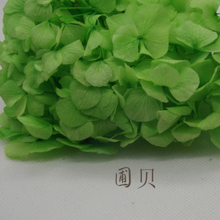ʻԱʻ