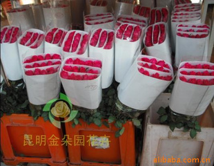 ϻ麣õٺʻʻõõ