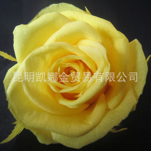 õ屣ʻⱣʻƷ