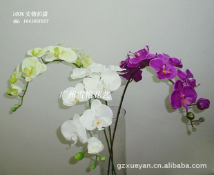 ָкݺ