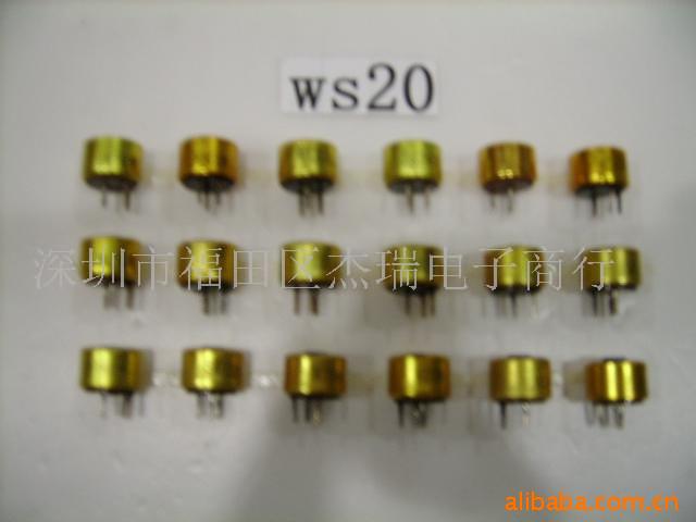 лʵоλWS20(ͼ)