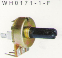 WH0171ϵеλ