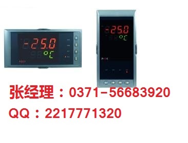 NHR-5200ϵ˫·ʾǣ