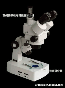 ¿XTL-3000ϵ΢