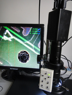 200WAV/VGA/USBƵ΢΢΢