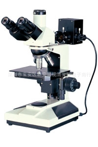 ΢XSQ-2003Aý΢
