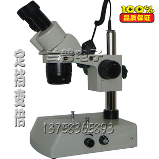 ¹Դ2040ѧŴ󾵵΢΢XT;-6024B2