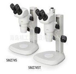 ῵ʽ΢SMZ745