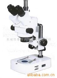 ΢䱶΢΢XTL-2400