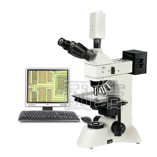 ý΢TX-500V