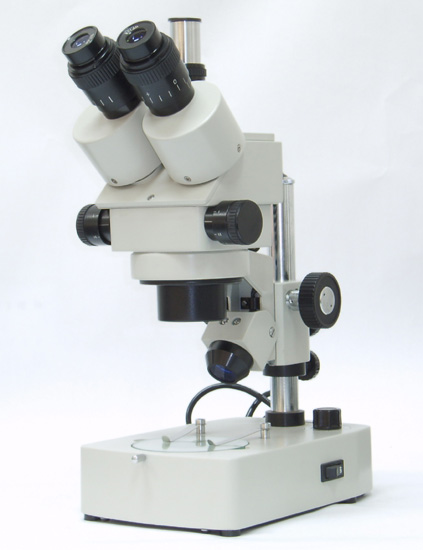 ݰ¿XTL-3600΢