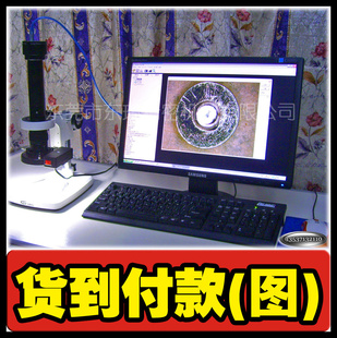 ʵͼ䱶΢ϸ΢΢