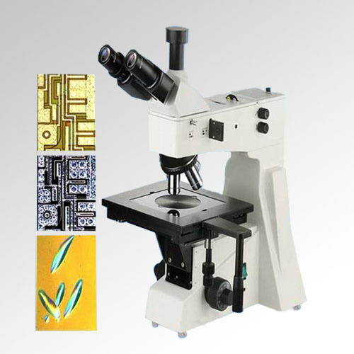 XGM-800BDӳý΢