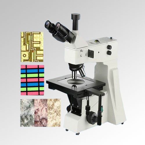 XGM-800ý΢