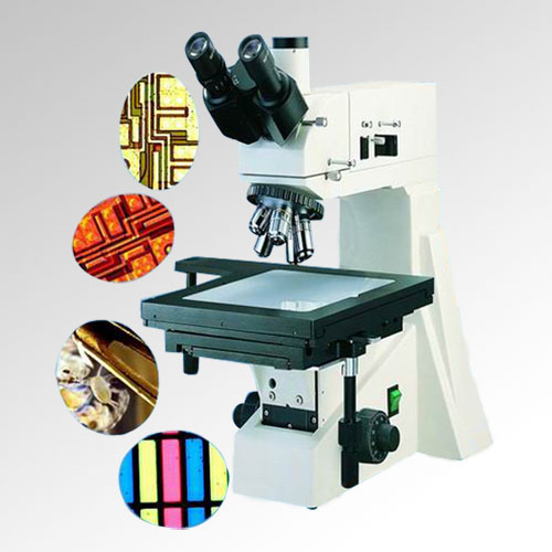 XGM-600ý΢