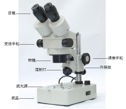 XTL-2400