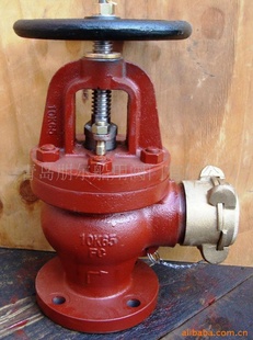 JI73335KG/10KGֱHOSEGLOBEVALVE