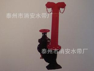 ϡˮýǽʽˮý
