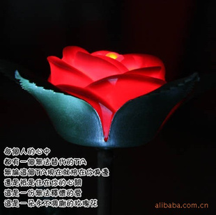 ʥƷлõ/õ廨ƷСҹ