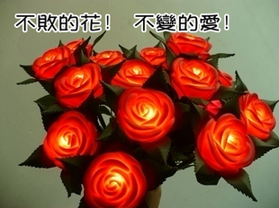 2011Ʒк쾭õҹ75110086