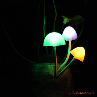 B03-17-01ƷLYL˶ĢA540g